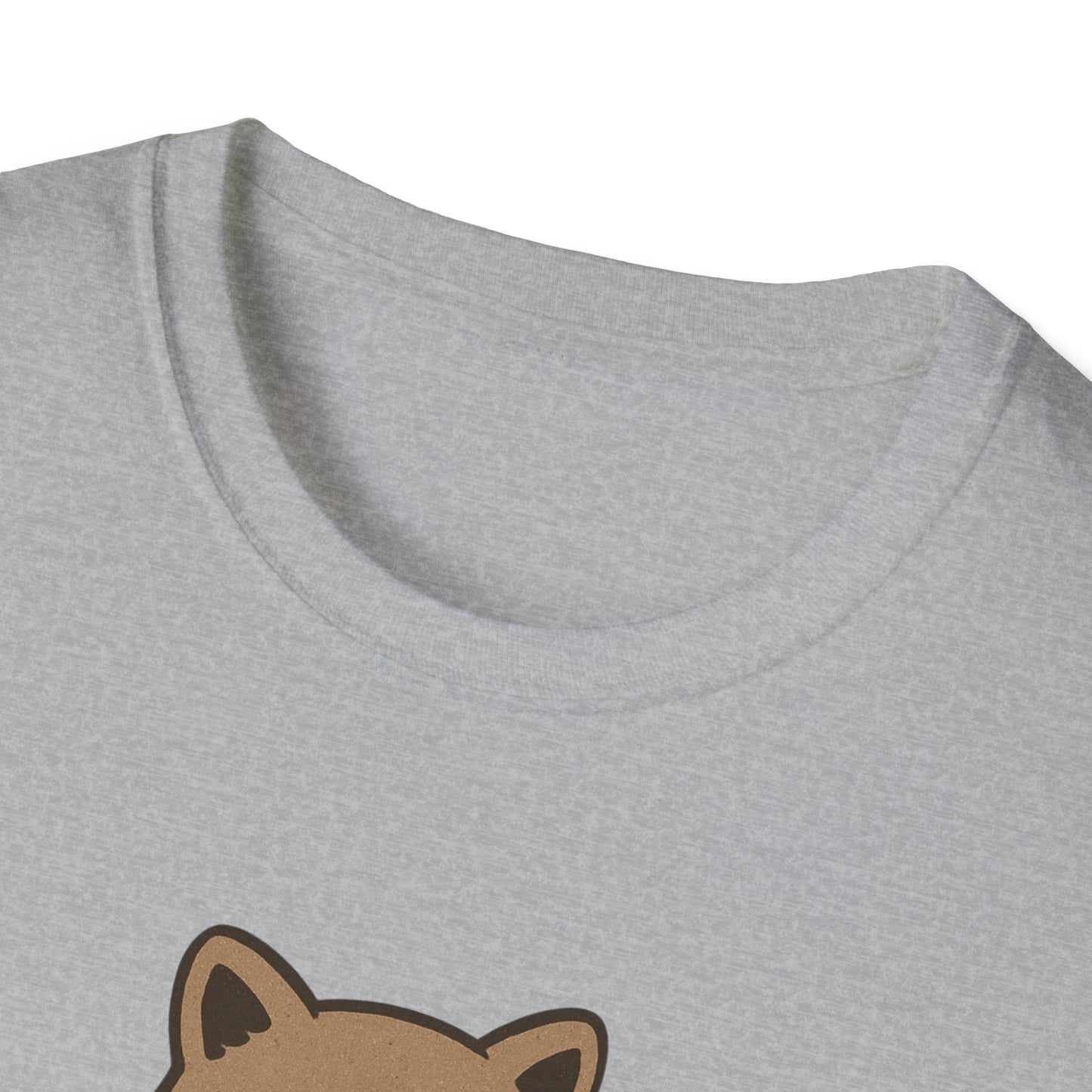 Cozy Raccoon Tee shirt