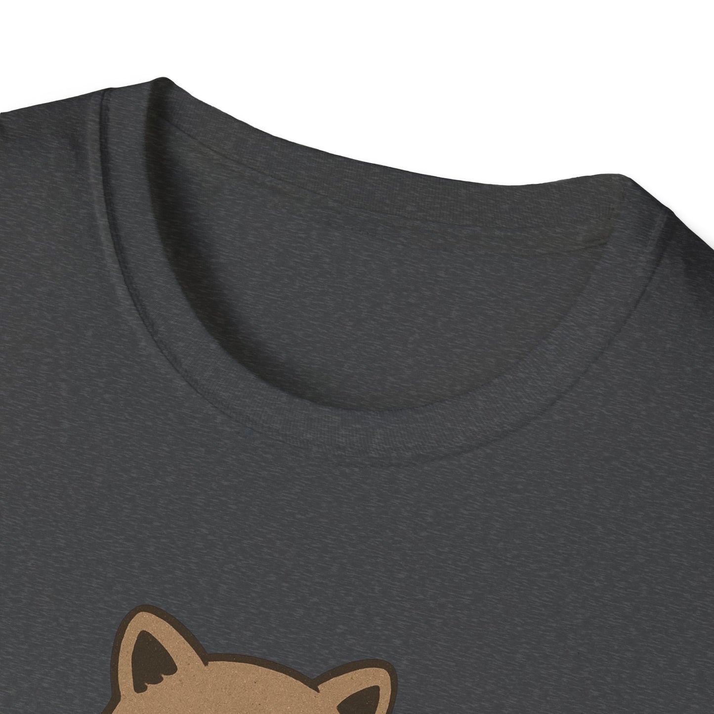 Cozy Raccoon Tee shirt