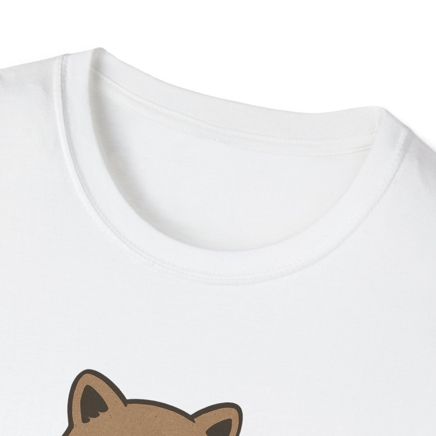 Cozy Raccoon Tee shirt
