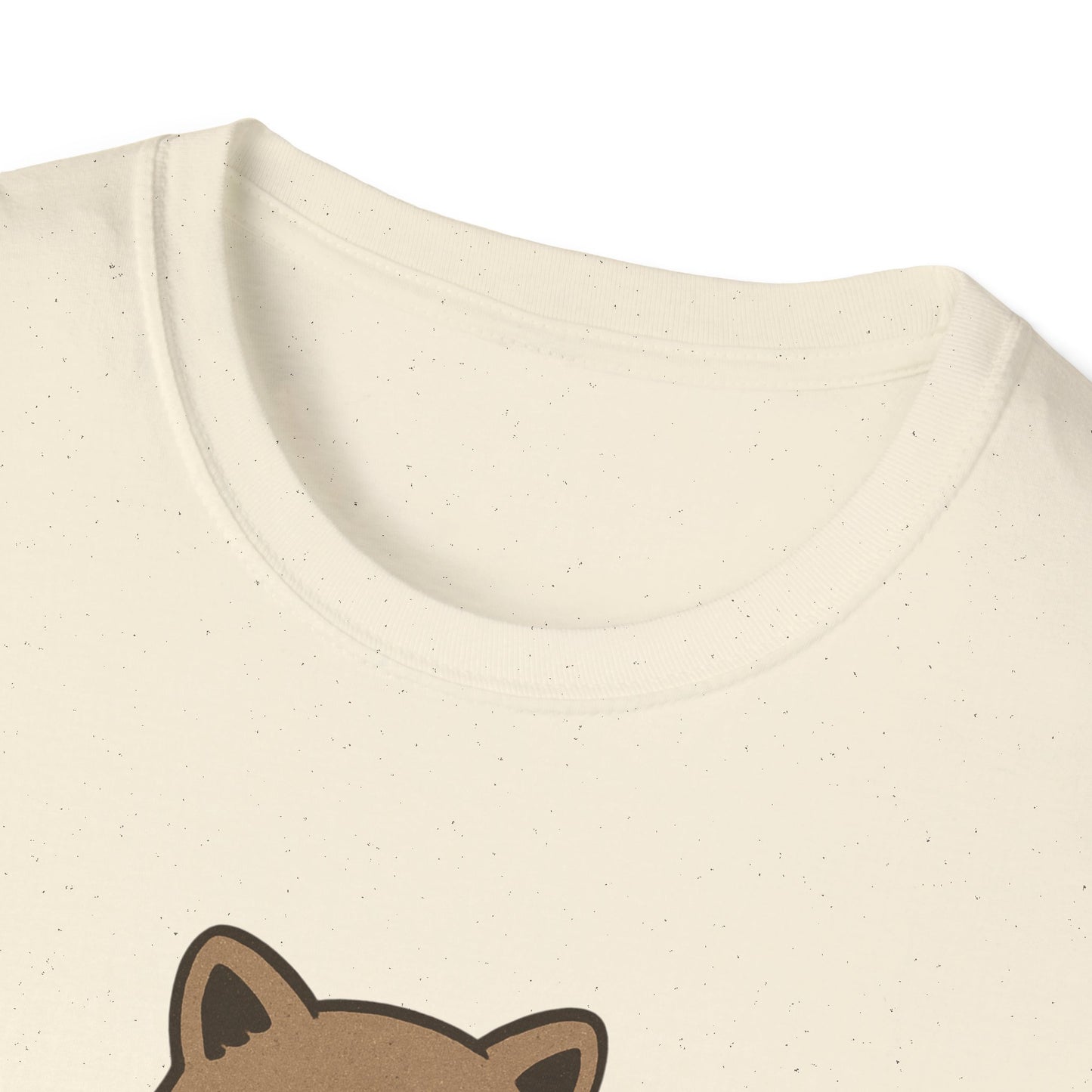 Cozy Raccoon Tee shirt